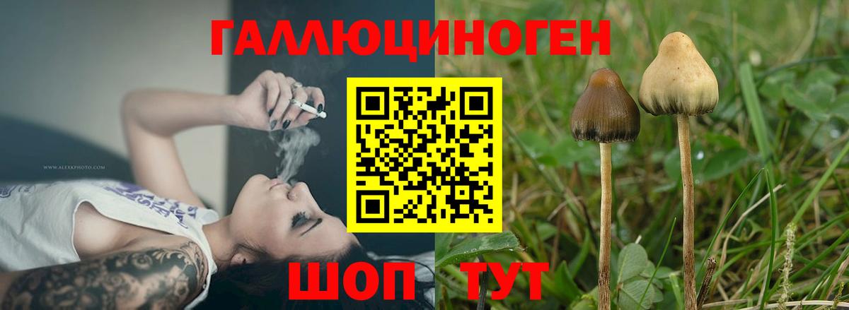 Нижневартовск  Галлюциногенные грибы Psilocybe  Вход с VPN  Псилоцибиновые грибы Psilocybe 